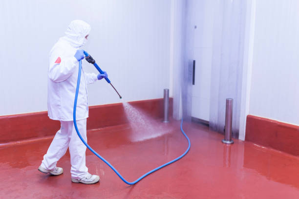 Best Spring Cleaning  in Philipsburg, PA